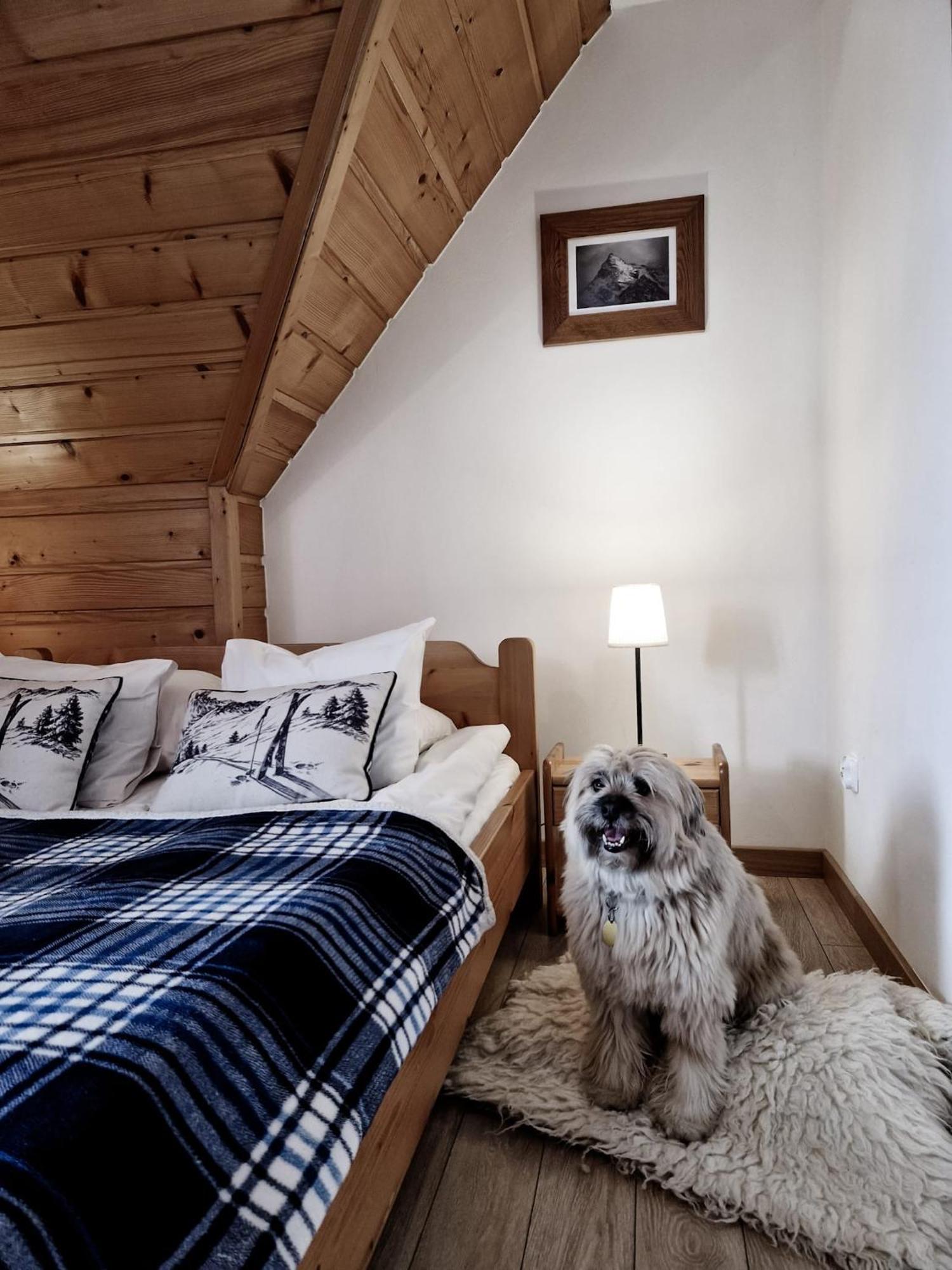 Bed and Breakfast Zakopane Stop Экстерьер фото